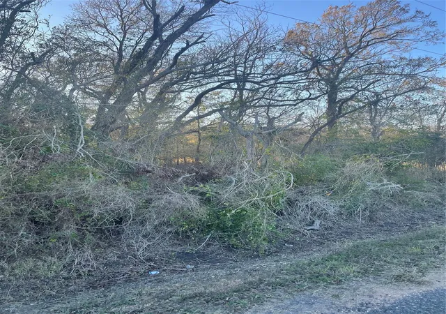 Photo 3 of Land for sale at 0 County Rd 428, Wharton, TX 77488 | MLS# 61616624 | Listing updated on 2026-01-25