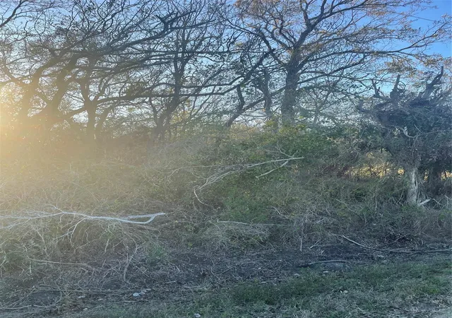 Photo 4 of Land for sale at 0 County Rd 428, Wharton, TX 77488 | MLS# 61616624 | Listing updated on 2026-01-25