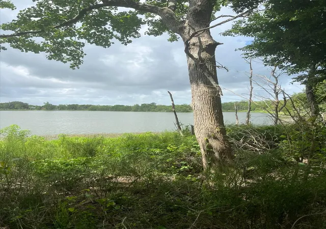 2nd image of 99 Kings Hl, Palacios, TX 77465 | MLS# 92884253