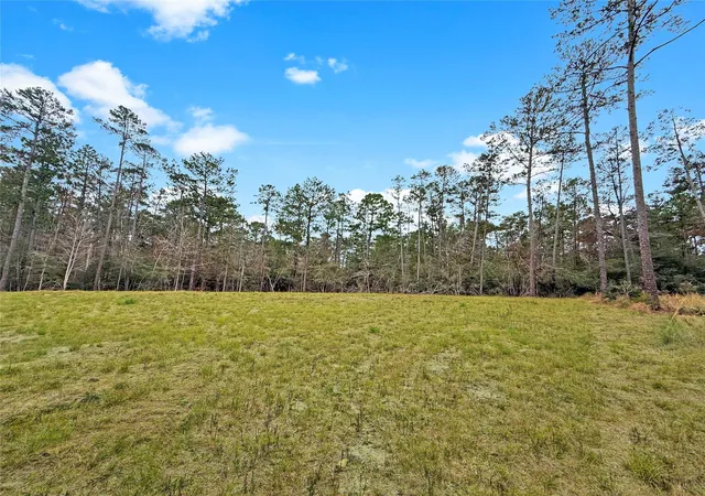 Homes for sale in Brookeland, TX | 252 Amblewood Dr, Brookeland, TX 75931 | MLS# 30866431