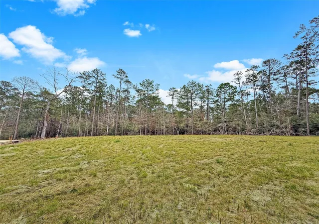 Homes for sale in Brookeland, TX | 252 Amblewood Dr, Brookeland, TX 75931 | MLS# 30866431