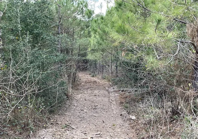 Photo 3 of Land for sale at 15699 Ridge Rock Rd, Willis, TX 77378 | MLS# 8930572 | Listing updated on 2026-07-26