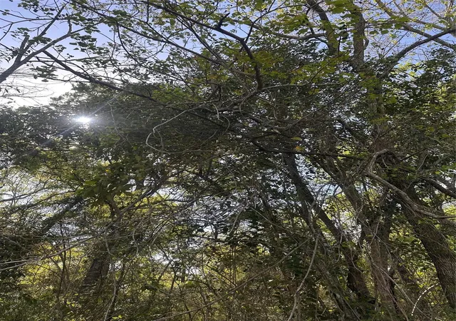 Photo 1 of Land for sale at 0 South 7th St, Conroe, TX 77301 | MLS# 2832417 | Listing updated on 2026-03-25
