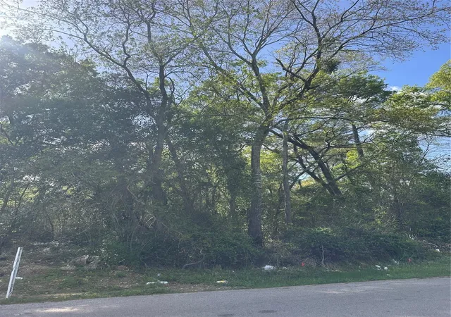 Photo 3 of Land for sale at 0 South 7th St, Conroe, TX 77301 | MLS# 2832417 | Listing updated on 2026-03-25