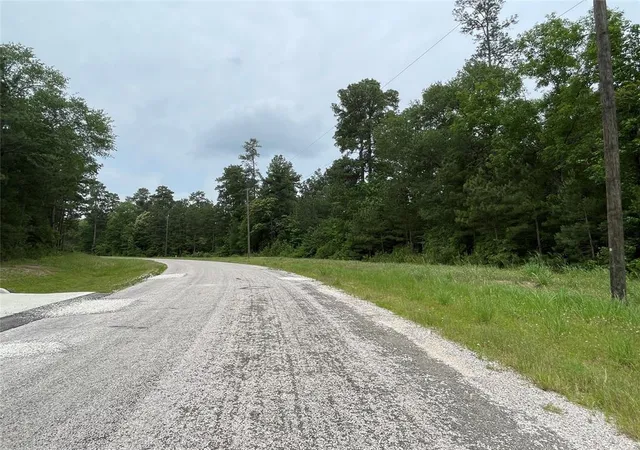 3rd image of 000-0 Hereford Trl, Huntsville, TX 77340 | MLS# 90429379