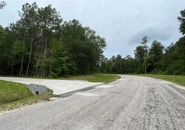 4th image of 000-0 Hereford Trl, Huntsville, TX 77340 | MLS# 90429379