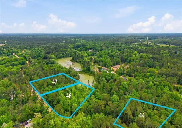 Homes for sale in Willis, TX | Tbd Sandy Creek Rd Lot 45, Willis, TX 77378 | MLS# 29460390