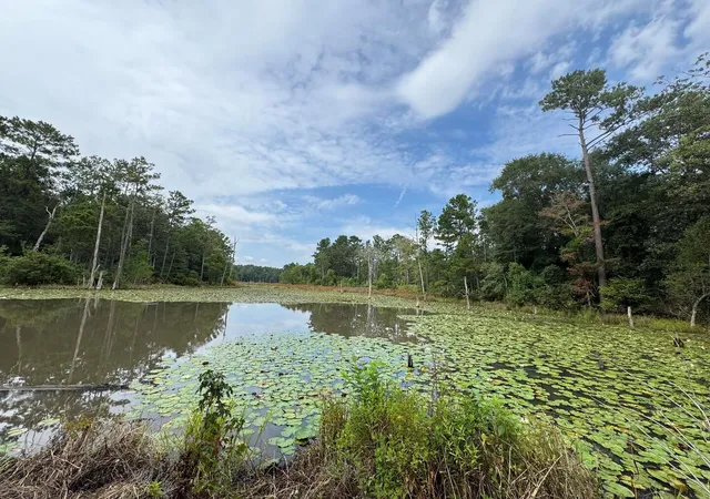 Homes for sale in Willis, TX | Tbd Sandy Creek Rd Lot 45, Willis, TX 77378 | MLS# 29460390