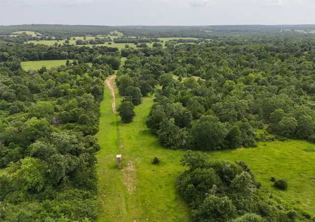 Photo 2 of Land for sale at 0 Private Rd 2026 Tracts 1 3, Buffalo, TX 75831 | MLS# 51188574 | Listing updated on 2026-01-07