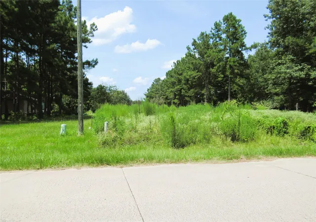 Photo 1 of Land for sale at 309 County Rd 3405, Cleveland, TX 77327 | MLS# 67570847 | Listing updated on 2026-08-04