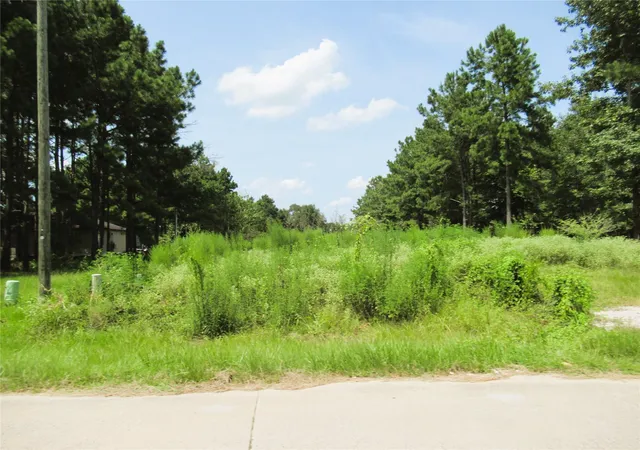 Photo 2 of Land for sale at 309 County Rd 3405, Cleveland, TX 77327 | MLS# 67570847 | Listing updated on 2026-08-04