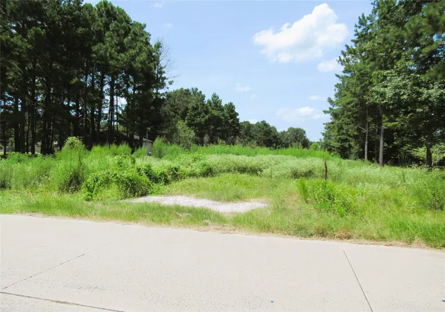 Photo 3 of Land for sale at 309 County Rd 3405, Cleveland, TX 77327 | MLS# 67570847 | Listing updated on 2026-08-04