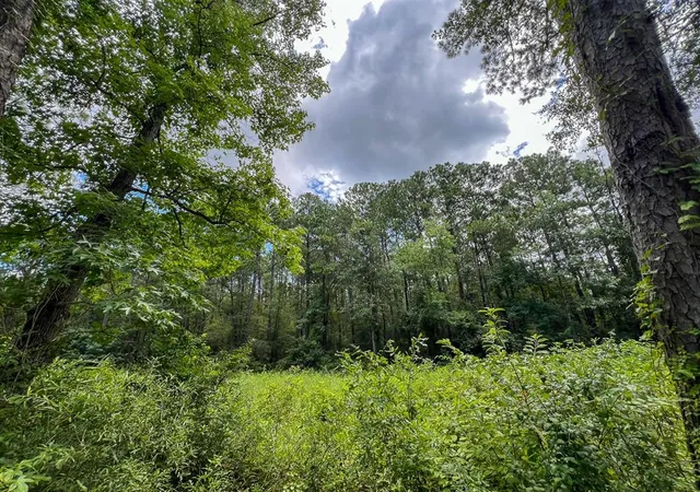 Photo 3 of Sale Pending at 0 Ellis Lane, Vidor, TX 77662 | MLS# 55361633 | Listing updated on 2026-09-11