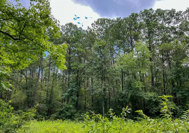 Photo 3 of Sale Pending at 0 Ellis Lane, Vidor, TX 77662 | MLS# 55361633 | Listing updated on 2026-09-11