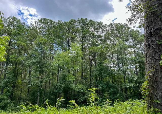 Photo 4 of Sale Pending at 0 Ellis Lane, Vidor, TX 77662 | MLS# 55361633 | Listing updated on 2026-09-11