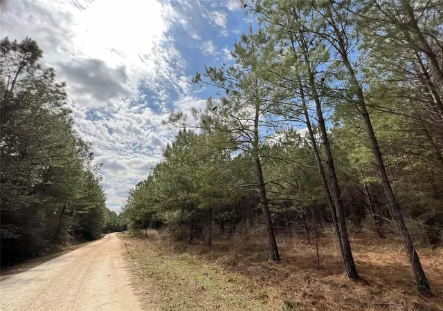 15th image of 7 Fm 1746, Spurger, TX 77660 | MLS# 67178043