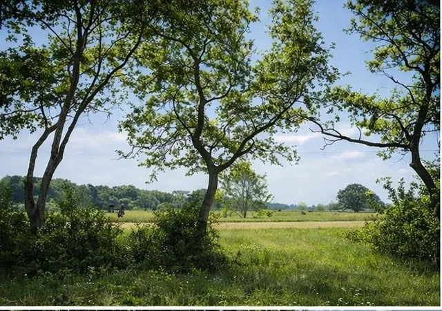Photo 3 of Land for sale at 10318 County Rd 67, Manvel, TX 77578 | MLS# 4160420 | Listing updated on 2026-09-02