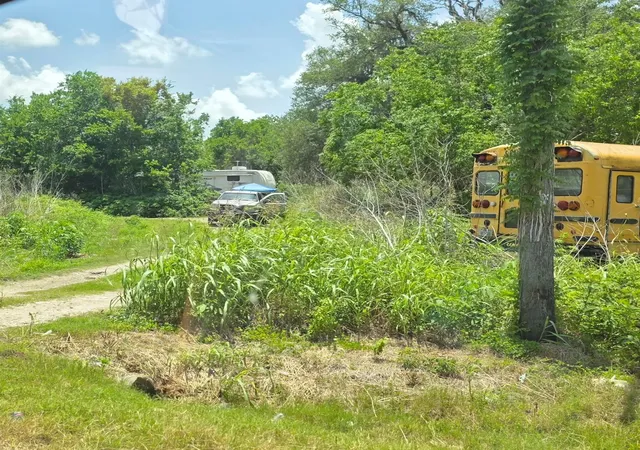 Photo 3 of Sale Pending at 5011 County Rd 347, Brazoria, TX 77422 | MLS# 87305968 | Listing updated on 2026-09-08