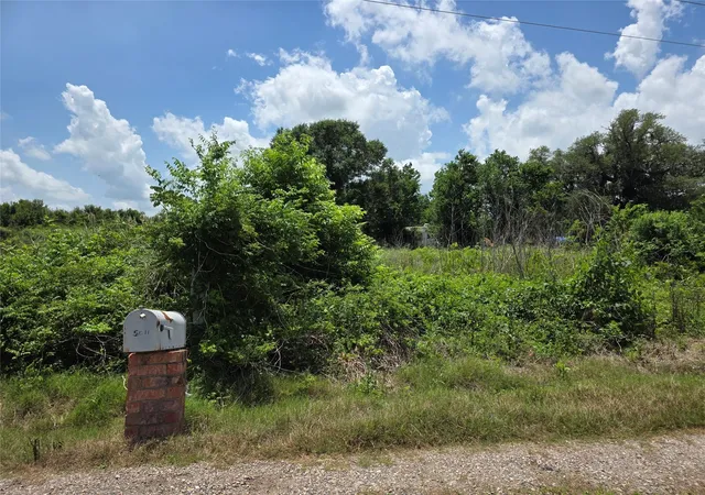 Photo 3 of Sale Pending at 5011 County Rd 347, Brazoria, TX 77422 | MLS# 87305968 | Listing updated on 2026-09-08