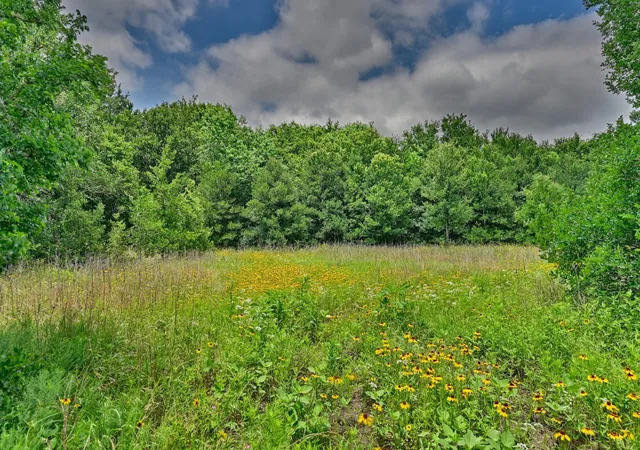 3rd image of 14619 Hwy 36 S, Somerville, TX 77879 | MLS# 88861513