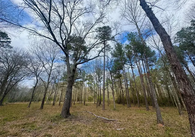 Photo 1 of Land for sale at 178 Stagecoach Cir, Huntsville, TX 77340 | MLS# 39318546 | Listing updated on 2026-03-04