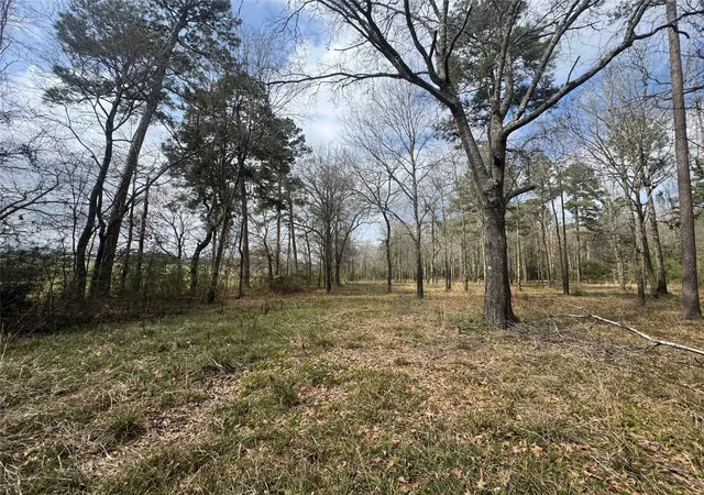 Photo 2 of Land for sale at 178 Stagecoach Cir, Huntsville, TX 77340 | MLS# 39318546 | Listing updated on 2026-03-04
