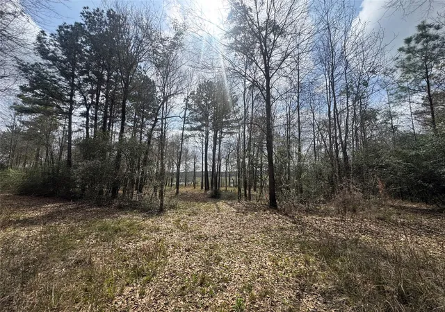 Photo 2 of Land for sale at 178 Stagecoach Cir, Huntsville, TX 77340 | MLS# 39318546 | Listing updated on 2026-03-04