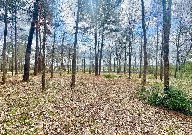 Photo 3 of Land for sale at 178 Stagecoach Cir, Huntsville, TX 77340 | MLS# 39318546 | Listing updated on 2026-03-04