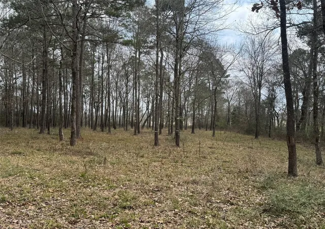 Photo 4 of Land for sale at 178 Stagecoach Cir, Huntsville, TX 77340 | MLS# 39318546 | Listing updated on 2026-03-04
