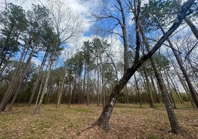 Photo 6 of Land for sale at 178 Stagecoach Cir, Huntsville, TX 77340 | MLS# 39318546 | Listing updated on 2026-03-04