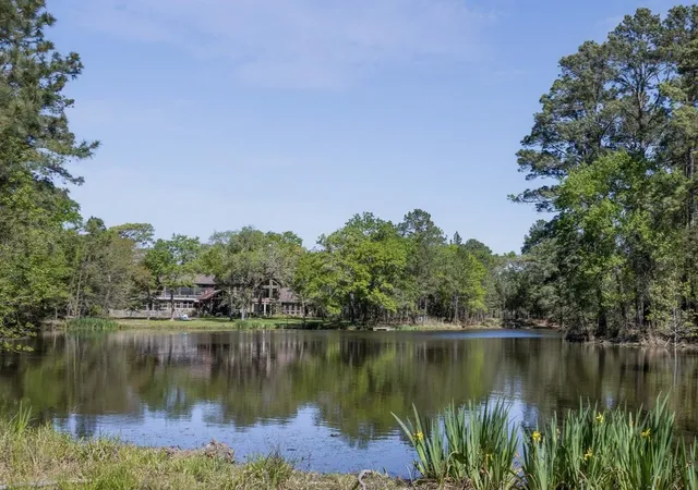 Land for sale at 3702 County Rd 151, Bedias, TX 77831 | MLS# 72586481