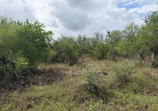 21st image of Tract 9 Love Rd, Victoria, TX 77904 | MLS# 92616898