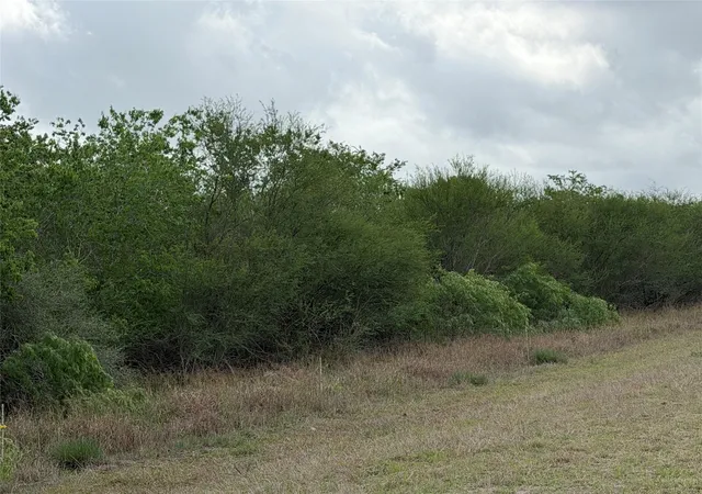 2nd image of Tract 9 Love Rd, Victoria, TX 77904 | MLS# 92616898