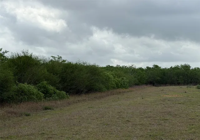 3rd image of Tract 9 Love Rd, Victoria, TX 77904 | MLS# 92616898