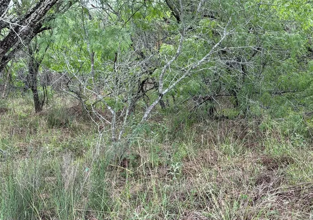 4th image of Tract 9 Love Rd, Victoria, TX 77904 | MLS# 92616898