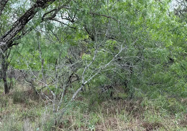 5th image of Tract 9 Love Rd, Victoria, TX 77904 | MLS# 92616898