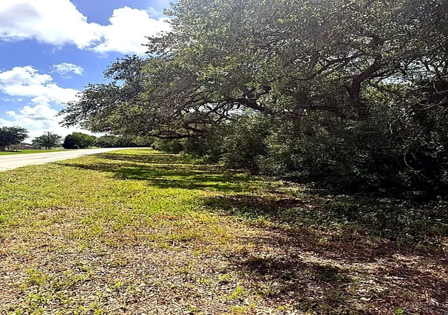 1st image of 0 Fm 2853, Blessing, TX 77419 | MLS# 86301777