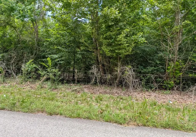 Homes for sale in Navasota, TX | Tract 19 County Road 302, Navasota, TX 77868 | MLS# 86184638