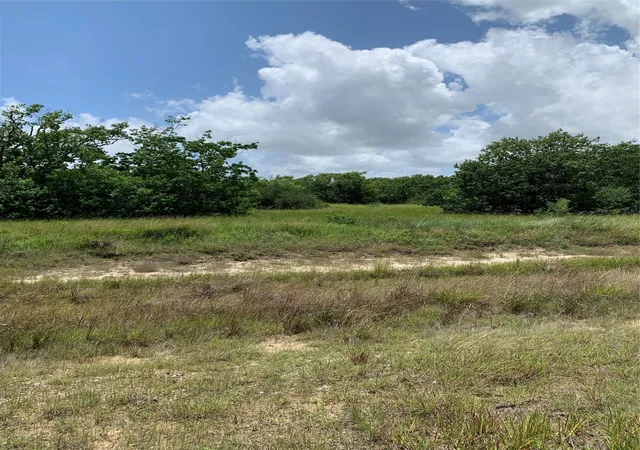 Photo 3 of Land for sale at Lot 64 Falcon Way, Palacios, TX 77465 | MLS# 26719029 | Listing updated on 2026-07-27