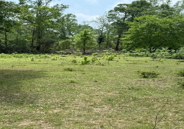 3rd image of 0000 Denson Reed Rd, Cleveland, TX 77328 | MLS# 32877169