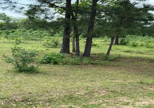 5th image of 0000 Denson Reed Rd, Cleveland, TX 77328 | MLS# 32877169
