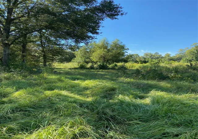 Photo 1 of Land for sale at 6225 County Rd 2252, Cleveland, TX 77327 | MLS# 29689096 | Listing updated on 2026-07-27