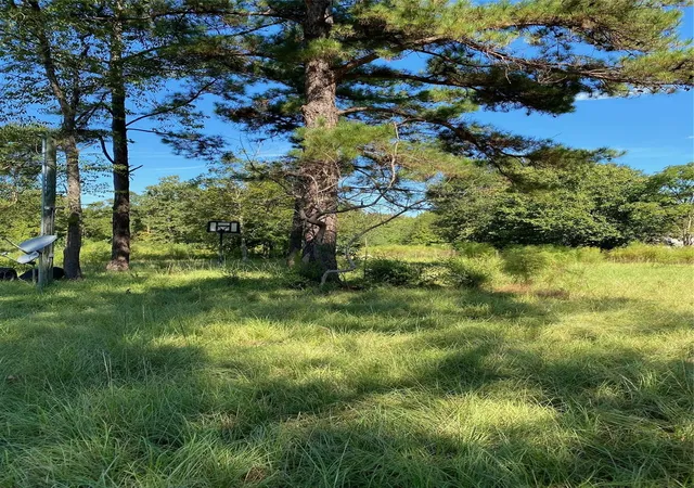 Photo 2 of Land for sale at 6225 County Rd 2252, Cleveland, TX 77327 | MLS# 29689096 | Listing updated on 2026-07-27