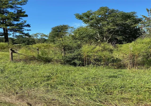 Photo 3 of Land for sale at 6225 County Rd 2252, Cleveland, TX 77327 | MLS# 29689096 | Listing updated on 2026-07-27