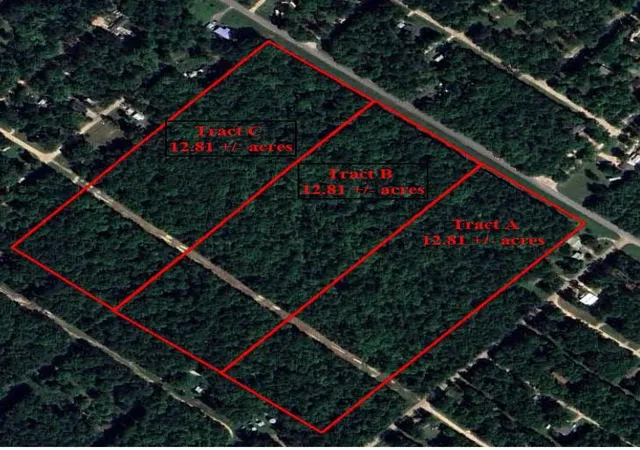 2nd image of Tract B Mangum Rd, Livingston, TX 77351 | MLS# 47678342