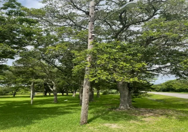 3rd image of 2702 Lake Rd, La Marque, TX 77568 | MLS# 44779286
