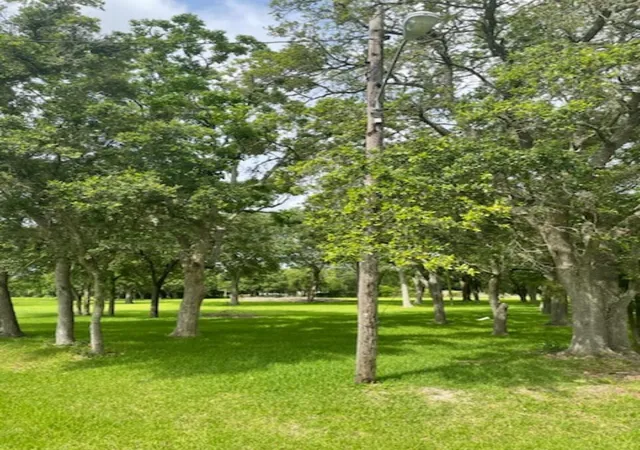 5th image of 2702 Lake Rd, La Marque, TX 77568 | MLS# 44779286