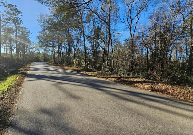 22nd image of Lot 3 Sherwood Dr, Shepherd, TX 77371 | MLS# 41158410