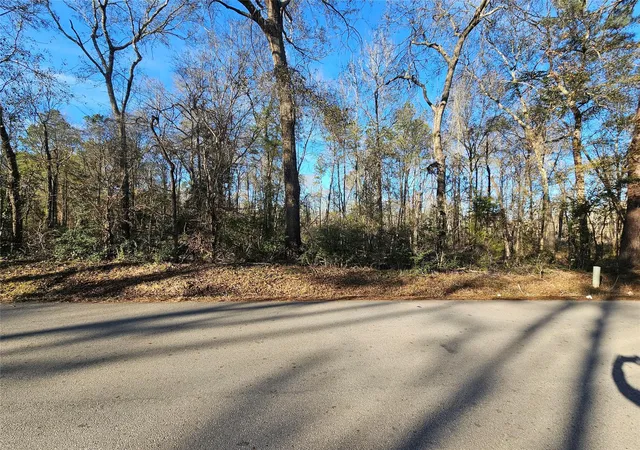 2nd image of Lot 3 Sherwood Dr, Shepherd, TX 77371 | MLS# 41158410