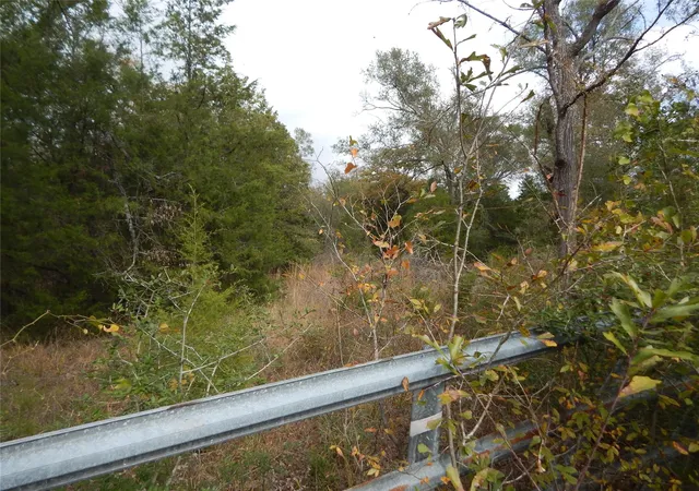 2nd image of Tbd Tx 30, Anderson, TX 77830 | MLS# 96587356